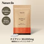 Nature In ナイアシン 30000mg サプリメント 300粒（1粒100mg×300粒）大容量 Nature In 国内製造 日本製 サプリメント パッケージ画像