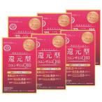 Kaneka 還元型コエンザイムQ10 機能性表示食品 袋タイプ カネカ社製 ソフトカプセル 60粒 6個セット 約180日分 代引不可 パッケージ画像