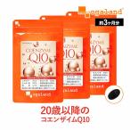その他のブランド コエンザイムQ10 （約3ヶ月分）サプリメント サプリ 補酵素 コエンザイム ダイエット 健康 運動 オーガランド ポイント利用 パッケージ画像