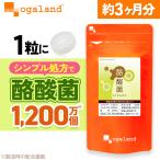 その他のブランド 酪酸菌（約3ヶ月分）ダイエット サプリ サプリメント 短鎖脂肪酸 すっきり 善玉菌 健康 美容 ダイエット オーガランド おすすめ ポイント利用 パッケージ画像