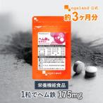 その他のブランド ヘム鉄＆ビタミン（約3ヶ月分）鉄分 サプリ サプリメント ビタミンB6 ミネラル 栄養機能食品 皮膚や粘膜の健康維持を助ける ビタミン ポイント利用 爆買 パッケージ画像