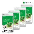 その他のブランド サプリ サプリメント 葉酸&amp;ヘム鉄 カルシウム ビタミン入り BIGサイズ約1年分 サプリ サプリメント ダイエット パッケージ画像
