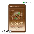 その他のブランド サプリ サプリメント サプリ サプリメント サラシア 約1ヵ月分 ダイエット サラシア茶 炭水化物 爆買 パッケージ画像