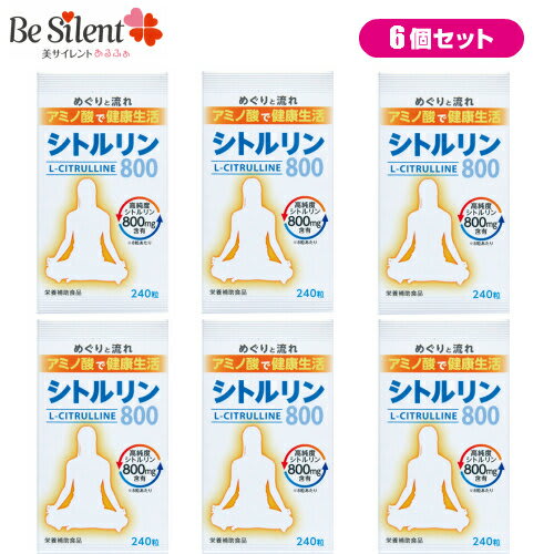 その他のブランド シトルリン サプリメント シトルリン800 240粒 6個セット パッケージ画像