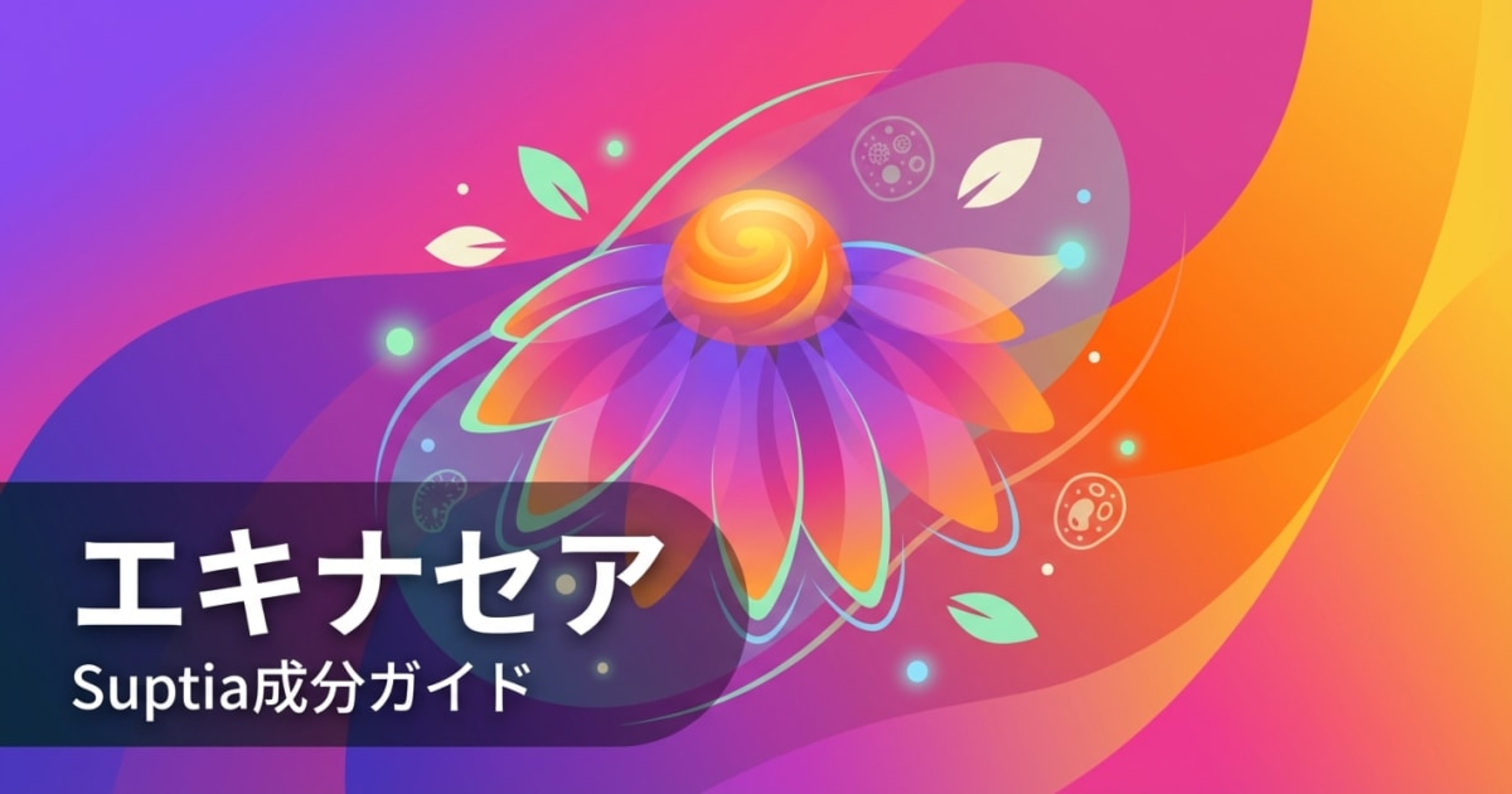 エキナセア（Echinacea）のアイキャッチ画像