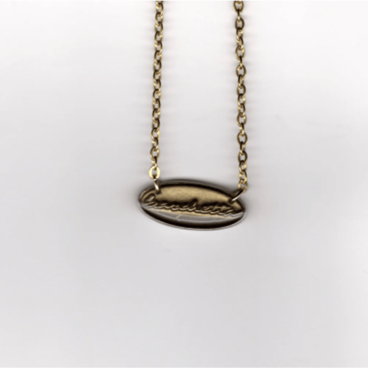 IP89 - IP23_CO01 Collier voiture