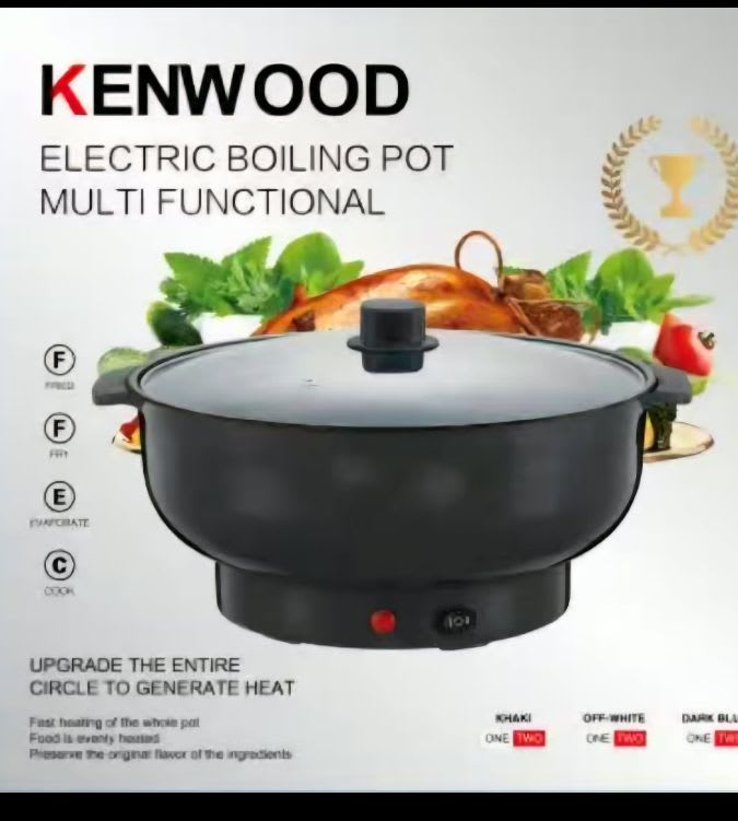 Electric cooking Pot
