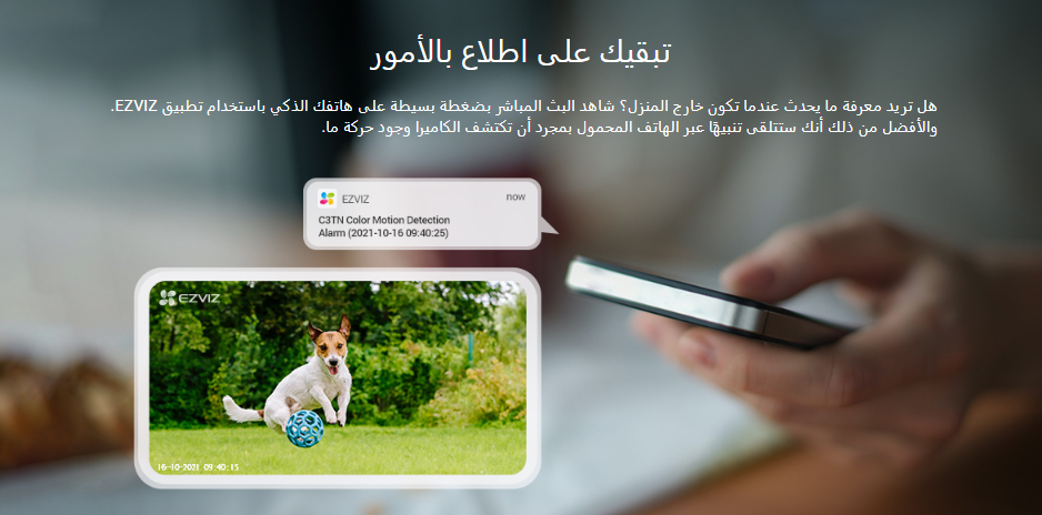 Screenshot 2024-12-19 160158.png