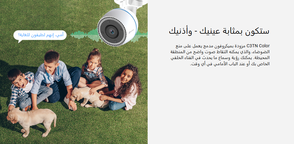 Screenshot 2024-12-19 160342.png
