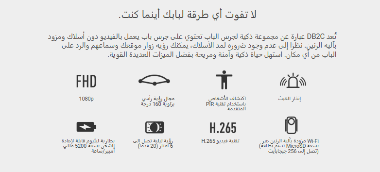 Screenshot 2024-12-23 134215.png