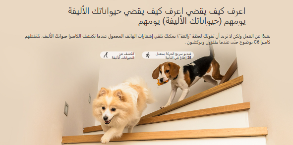 Screenshot 2024-12-26 183906.png