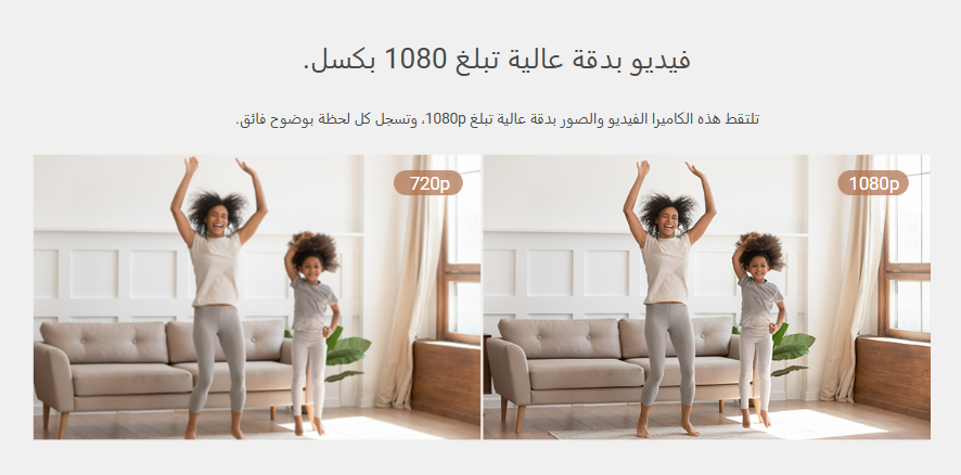 Screenshot 2025-01-19 180146.png
