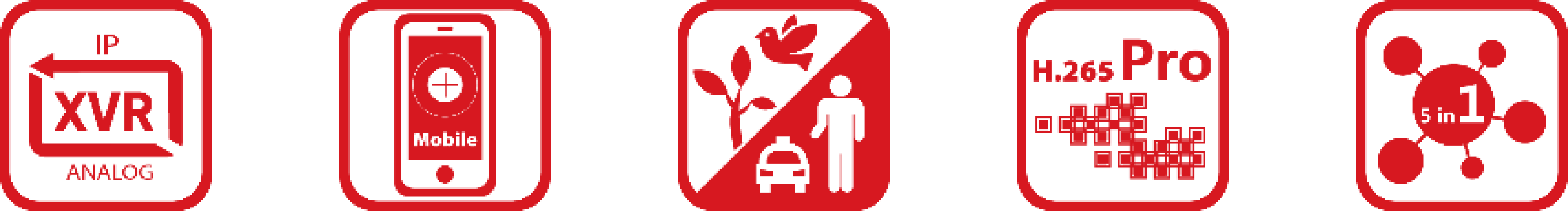 DVR-216U-M2 Features.png