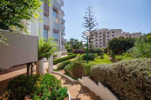 Jardines de Valencia