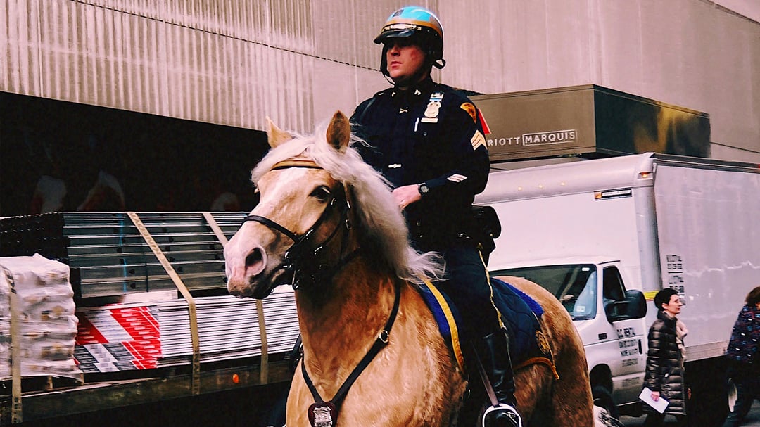 ¡Persecución Épica en NYC! Un Policía a Caballo Se Vuelve Viral Como en Un GTA de la Vida Real - imagen