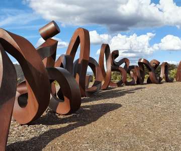 Public art surveys