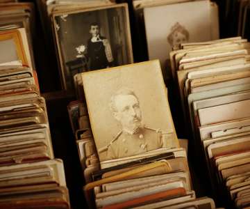 Digitisation of collections