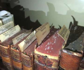 Mould remediation