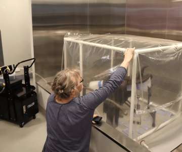 Anoxic pest treatment