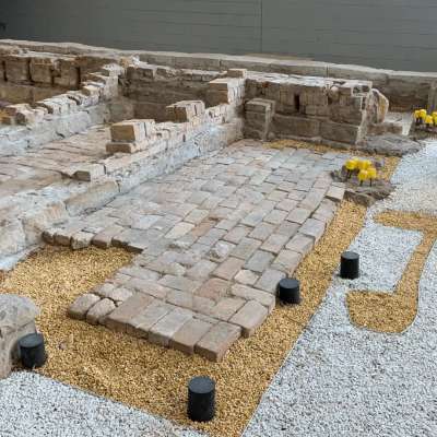 During Treatment- traps setup