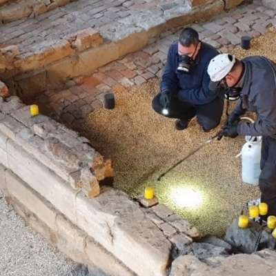 During Treatment- application of pesticide