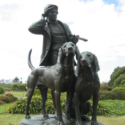 After treatment- hounds