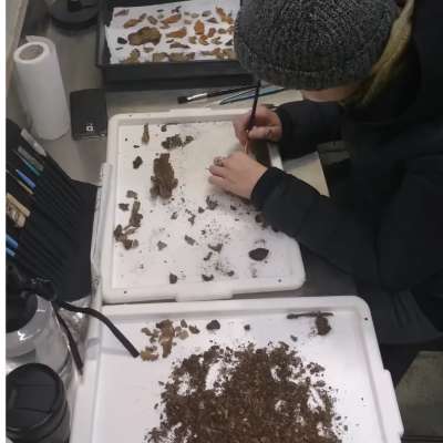 ICS on-site treatments