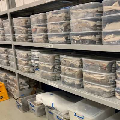 Desiccated storage of metal artefacts