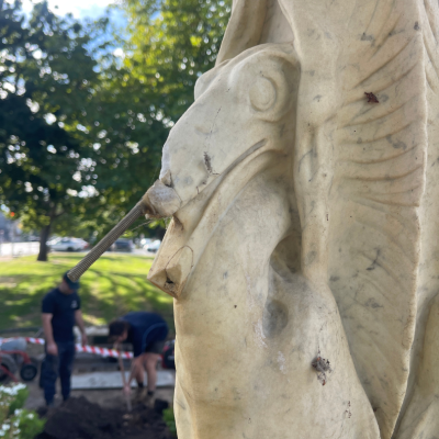 Damages to the storks beak