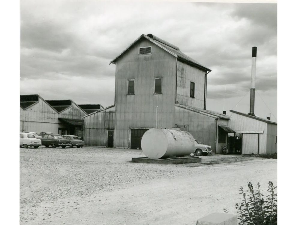 During treatment- Old Photograph