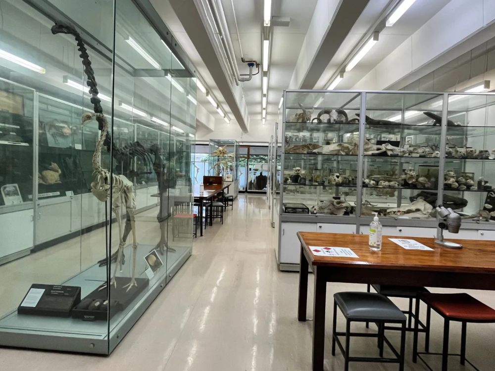 Tiegs Museum, condition and risk assessment of the collection