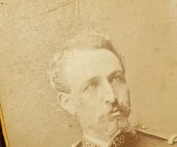 Digitisation of collections