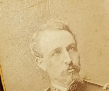 Digitisation of collections