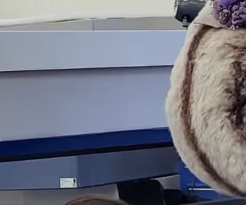 Mount-making for exhibitions