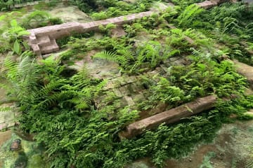 Parramatta Justice Precinct- Archaeological Remains