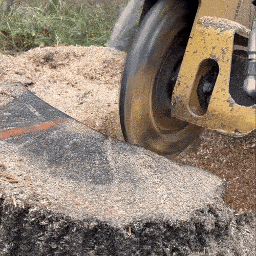 Tree stump grinding