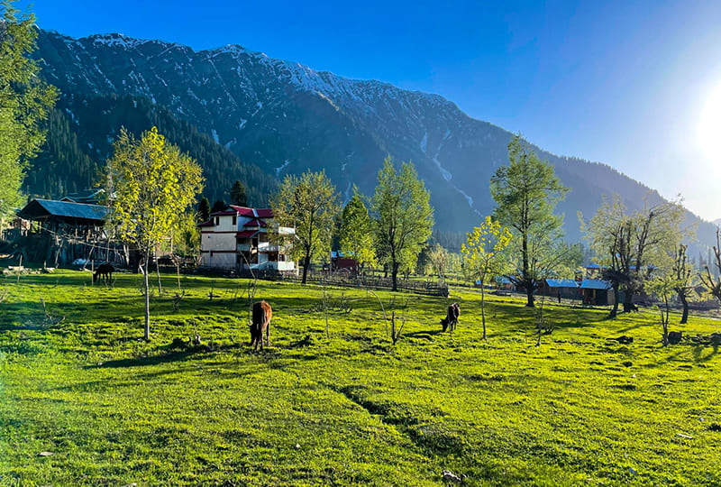 Kumrat Valley 7 Days Tour