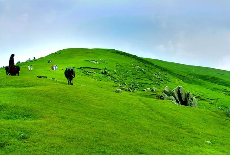 About Toli Pir - Toli Pir