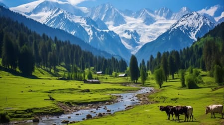 Kumrat Valley