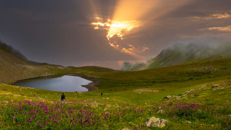 Fairy Meadows