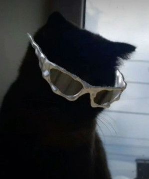 zeno's profile picture