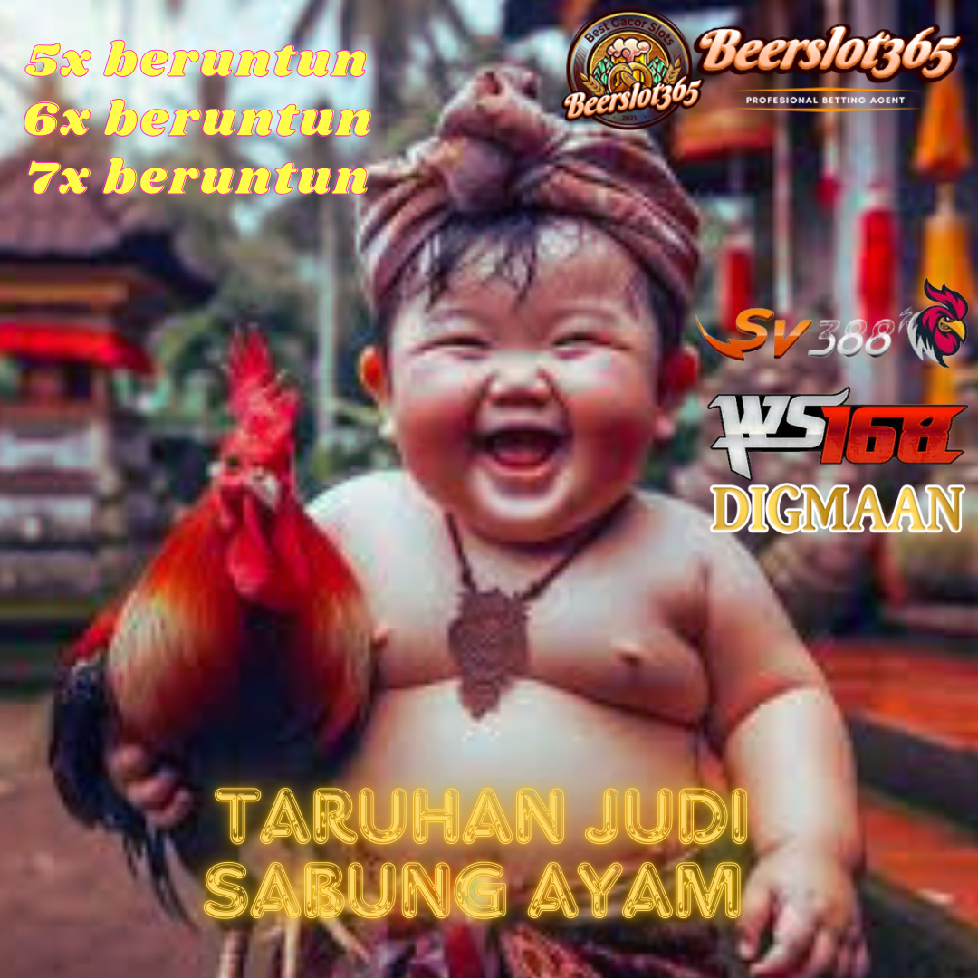 SV388 🐔 Daftar Situs Bandar Agen Judi Sabung Ayam Online Wala Meron Adu Ayam Online Resmi Terpercaya