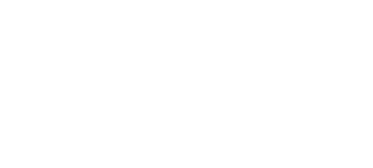 SEIRE