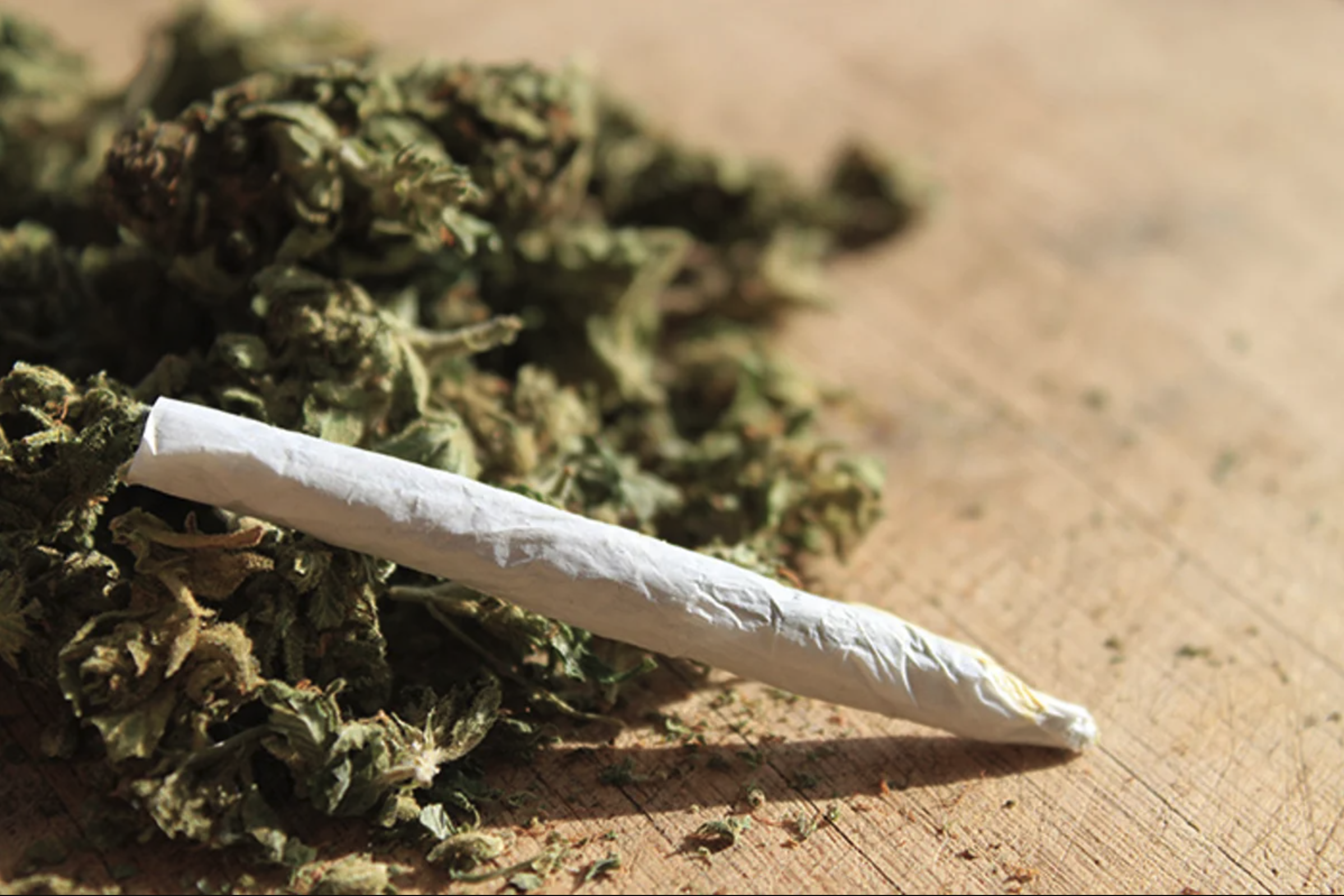 High Times: The Top 5 Reasons Marijuana Should Be Legal Everywhere