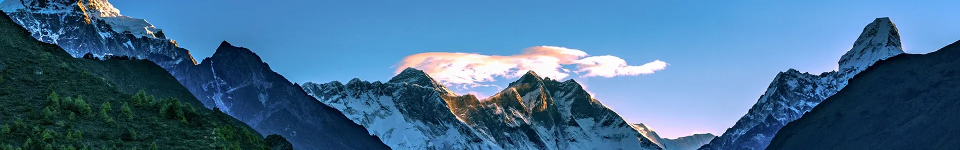 https://res.cloudinary.com/dvhwrtaev/image/upload/v1758091089/pb63wdlvhggeg6hk3zr4.webp