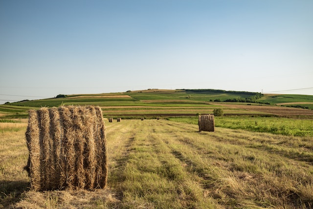 Terenske kontrole: Otkrivene zloupotrebe subvencija putem e Agrara