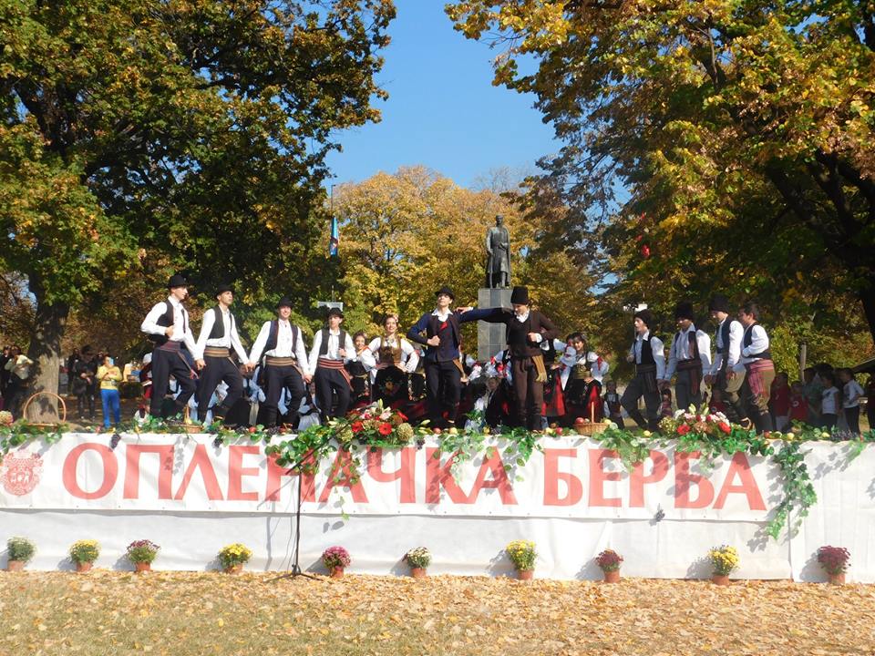 Oplenačka berba 2025: Festival vina, grožđa i tradicije u srcu Šumadije
