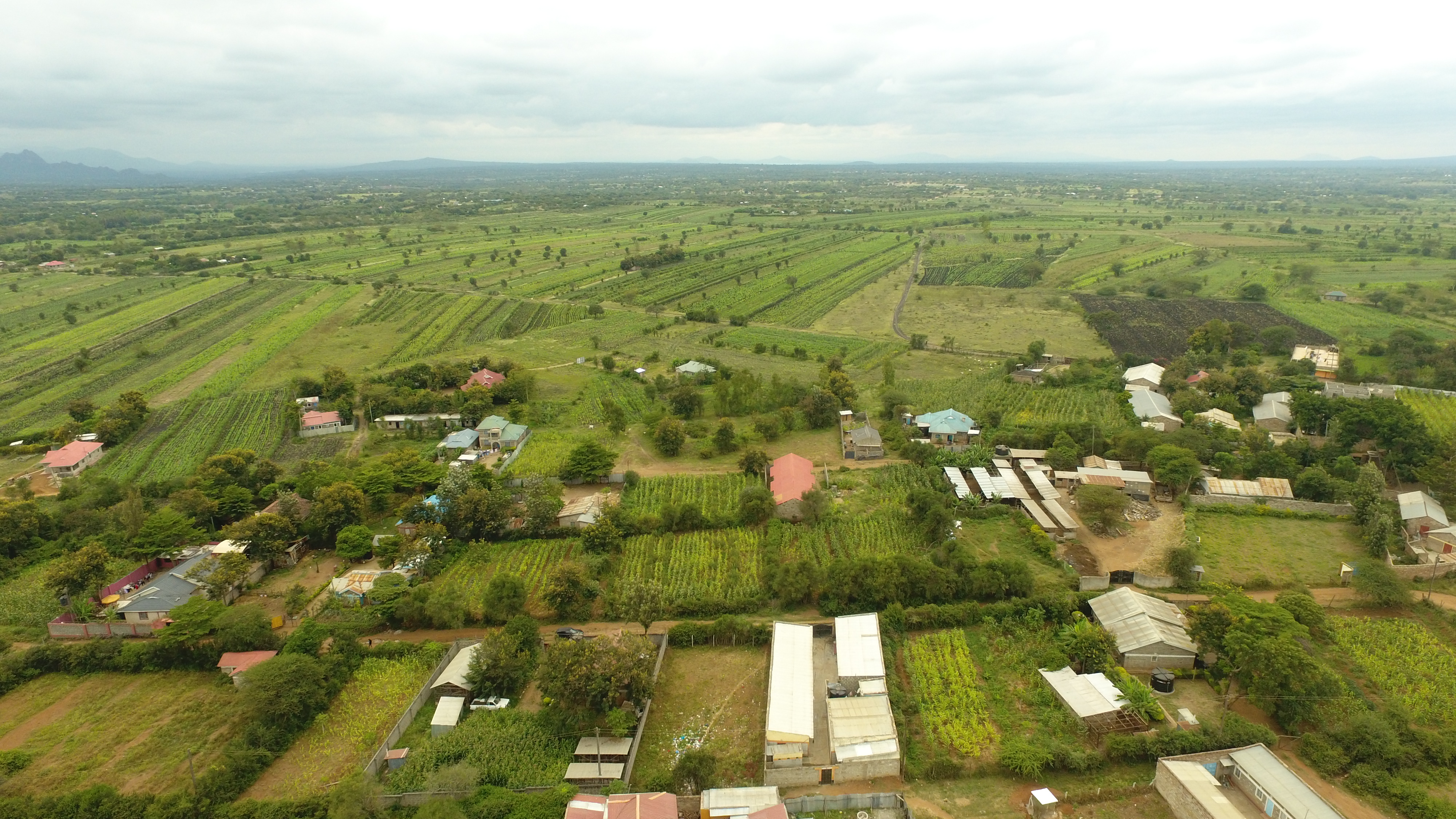 TownsView Matuu Phase 1 — land project overview