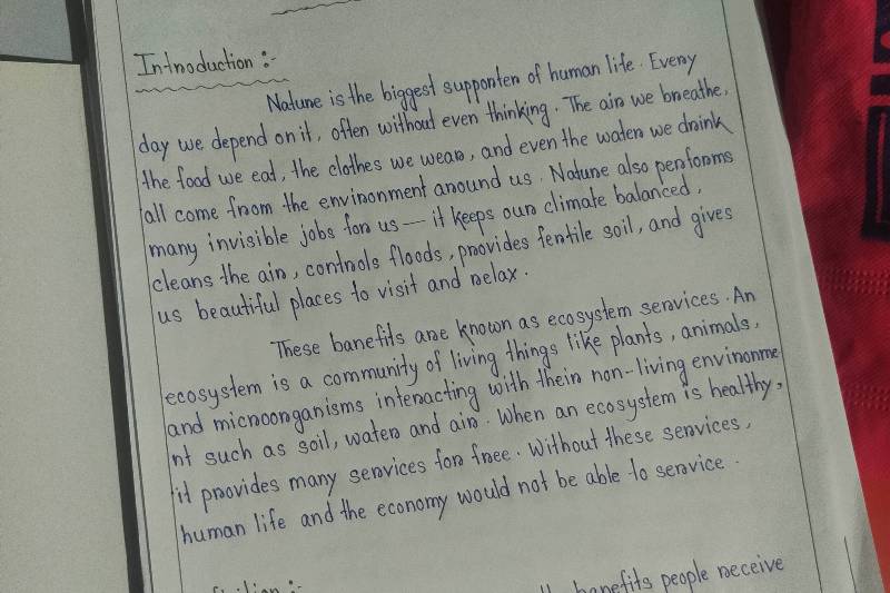 Handwriting Sample