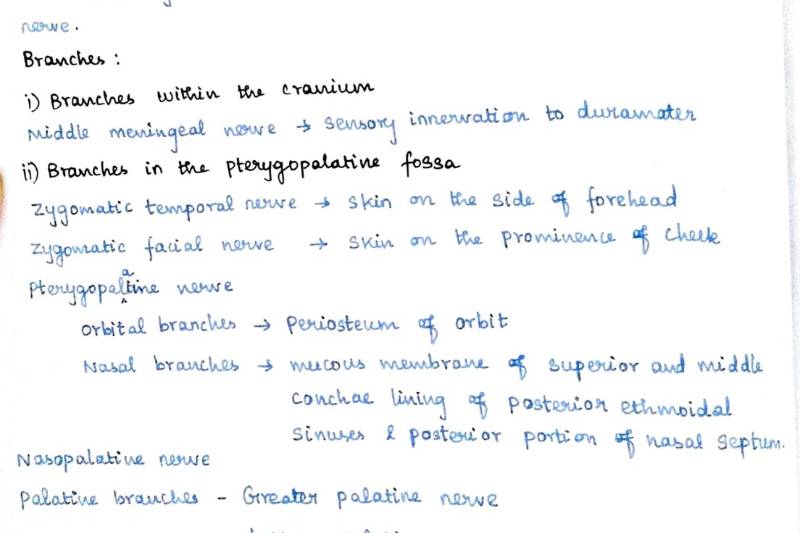 Handwriting Sample